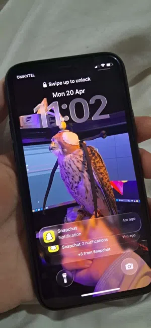 ايفون 11 برو  255g