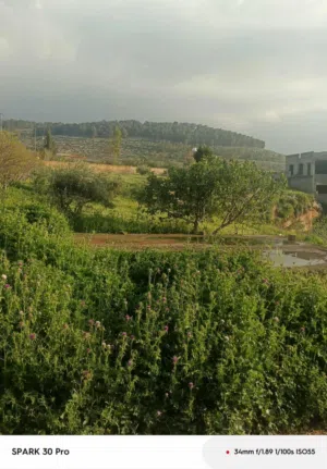 Farm Land for Sale in Amman Naour