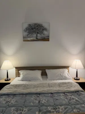 50 m2 Studio Apartments for Rent in Al Ain Central District