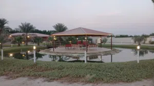 ‏أكثر من 6 غرف ‏.‏ يومي‏3