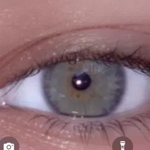 حلا تيسير العواوده 