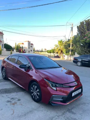Used Kia Niro in Amman