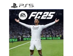 سيدي فيفا 2025