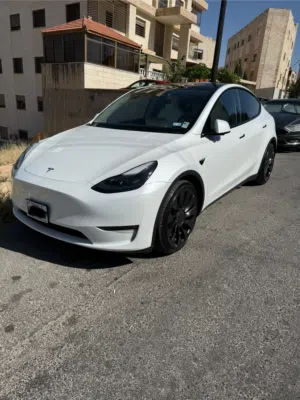 Used Tesla Model Y in Amman