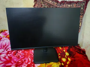 شاشه MSI PRO MP251 E2