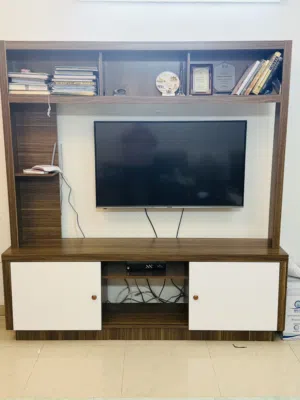 Danube TV unit for sale very less used