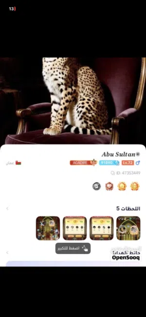 Accounts - Others Accounts and Characters for Sale in Al Sharqiya