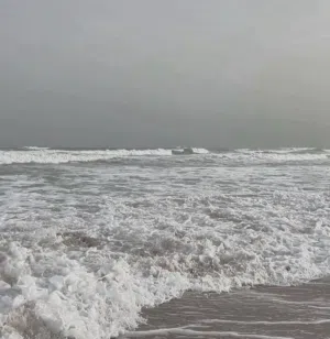 احمدجابر الحوسني 
