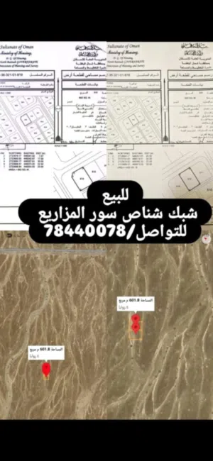 Residential Land for Sale in Al Batinah Shinas