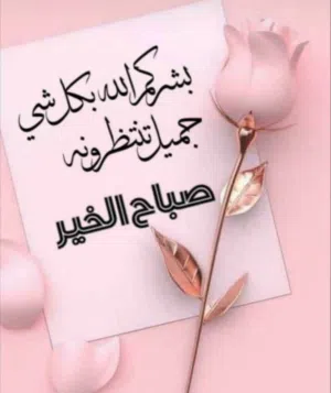 اشرف فودة 