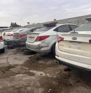 تشاليح الدمام ابومقبل