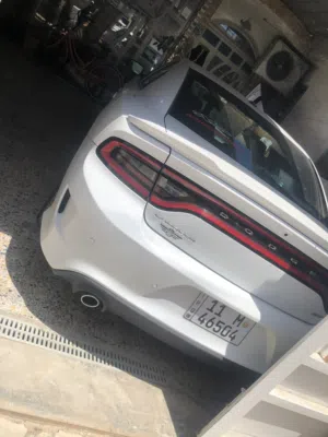 جارجر جيتي خليجيه 2022 كفاله عامه