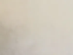شاشا سامسونج 65