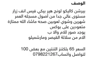 كتنز بيرشن كاليكو