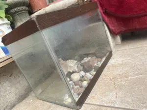 حوض سمك 15