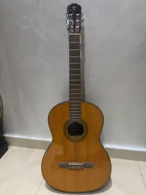 2 guitars جيتار