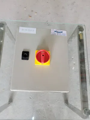 20A TPN Isolator Switch Box / Power Isolator Panel