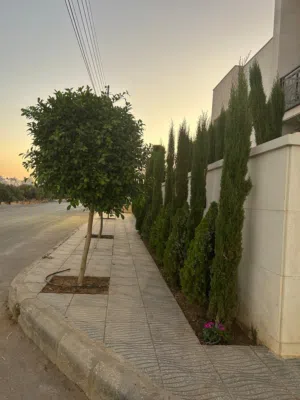 شقه داخل فيلا للايجار