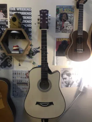 Fenqin Guitar