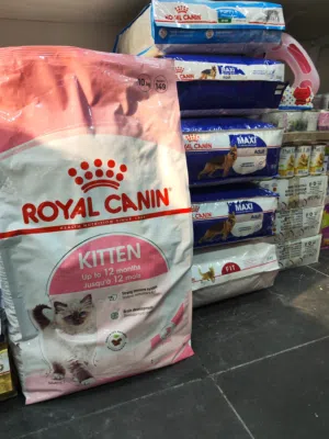 اكل قطط رويال كانن 10 كغ