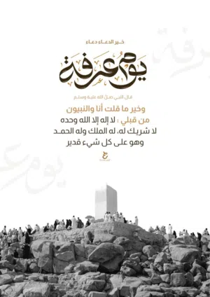 mohammad almalkawy 