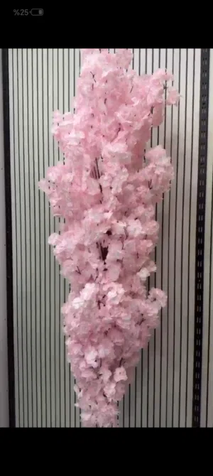 اشجار شبوي