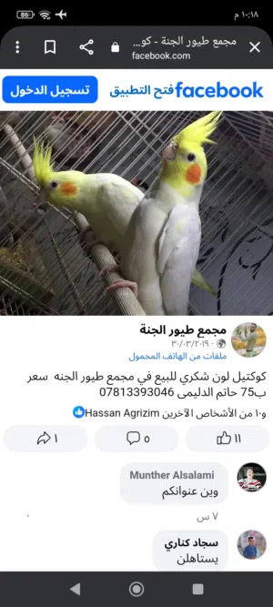 الصوره لجذب الإنتباه تابع الوصف