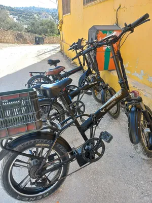 Electric Bicycles . New0