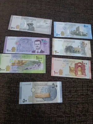 طقم عملات سورية أنسر