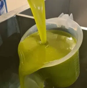 زيت زيتون من مزارع البستنجي العام 50 ولجديد100