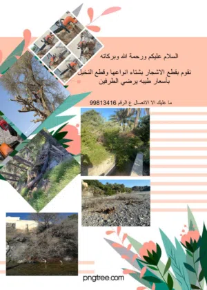 أقوم بقص الاشجار والنخيل بشتاء أنواعها والسعر على حسب العمل لتواصل