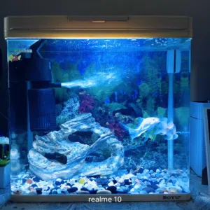 Boyu Aquarium