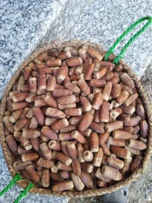 يتوفر معي رطب وتمور
