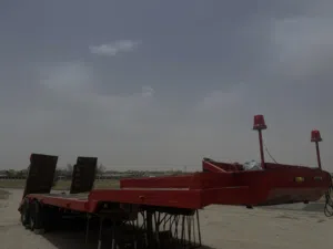 للبيع ذنبت لوبد امريكيه