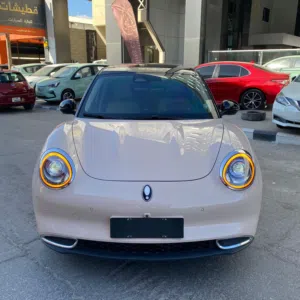 ORA 2021 Full electric