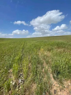 Farm Land for Sale in Mafraq Al-Dajaniya
