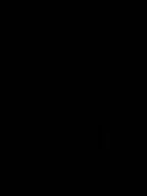 سيكل وارد قياس 27