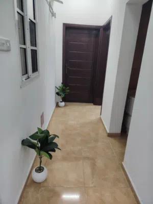 900 m2 2 Bedrooms Apartments for Rent in Al Batinah Sohar