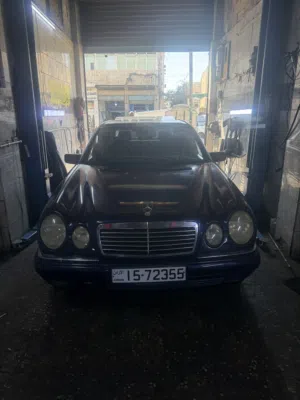 قرش ونص افنقارد 96