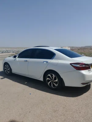 Used Honda Accord in Muscat