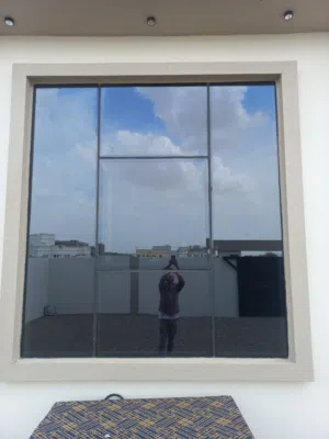 Curtain wall windows