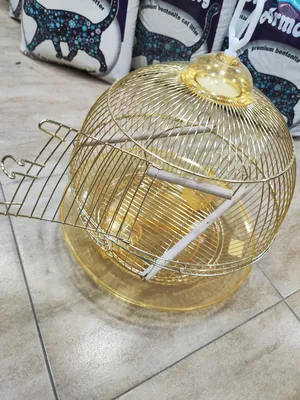 قفص طيور ذهبي دائري:  "أضف لمسة من الأناقة لمنزلك": قفص طيور ذهبي دائري فاخر!