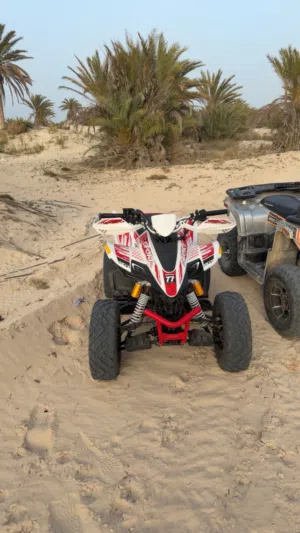 TAO motor   رابتر