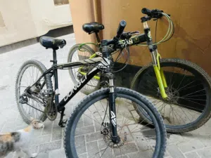 2 bicycle on sale good price