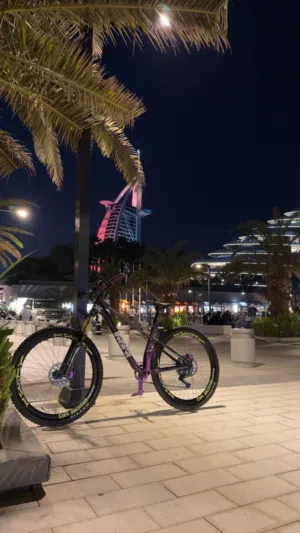 Mountain bike (MTB) custom build