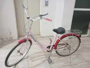 Girls Cycle