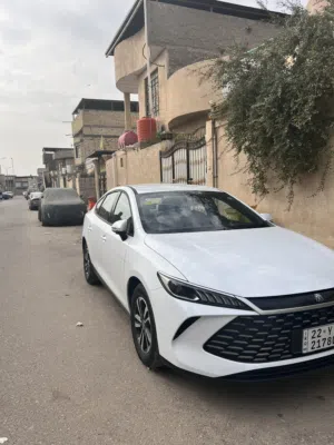 كن بلاص رقم اربيل موديل 2025