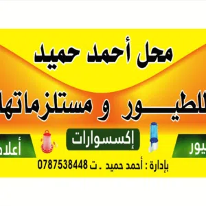 AHMAD  HAMED 