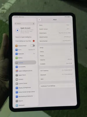 IPad Pro m4 256 11 inch excellent condition