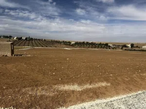 Farm Land for Sale in Amman Al Jizah